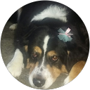 Elaine Marsh profile picture